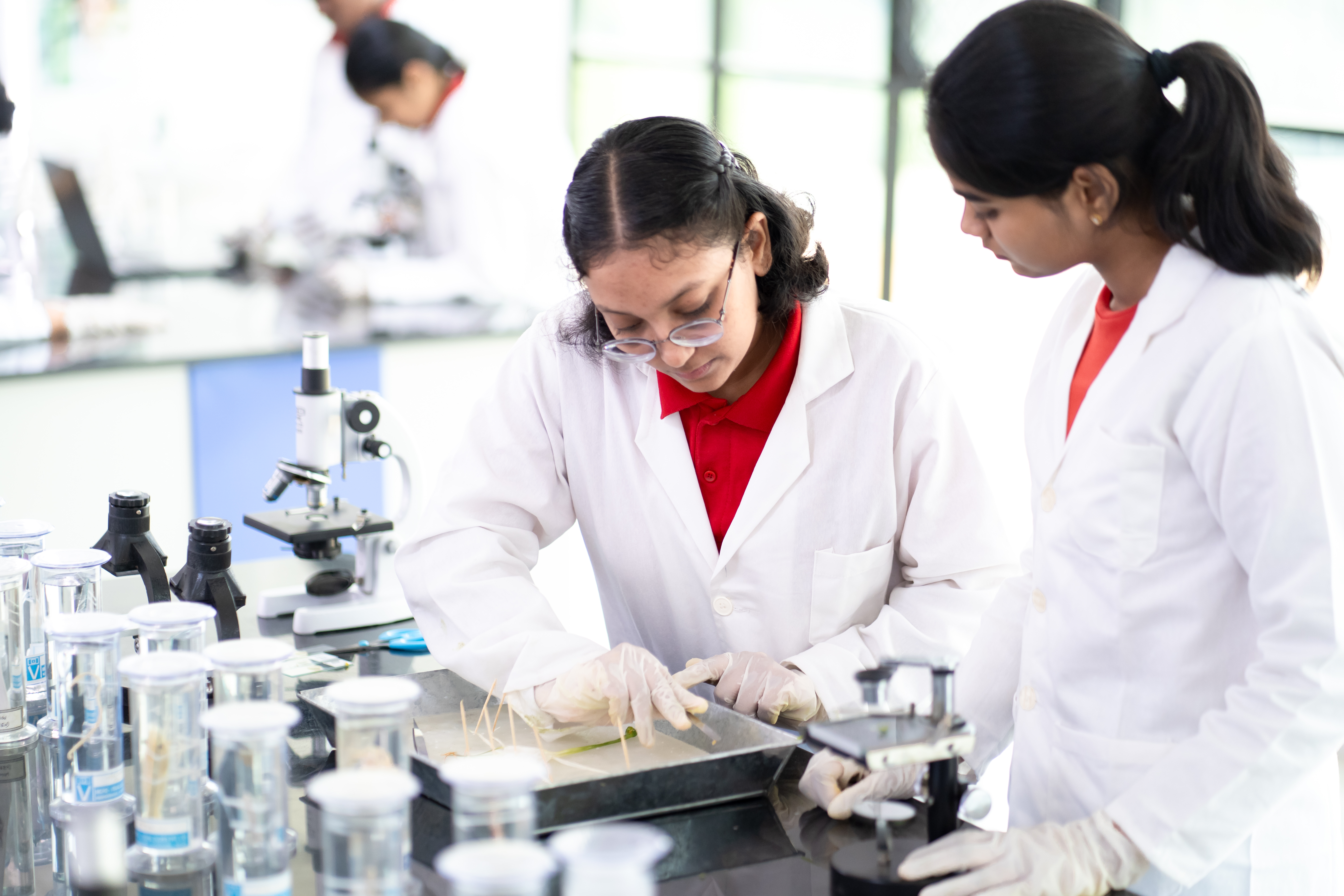 Cambridge and CBSE curriculum in Warangal
