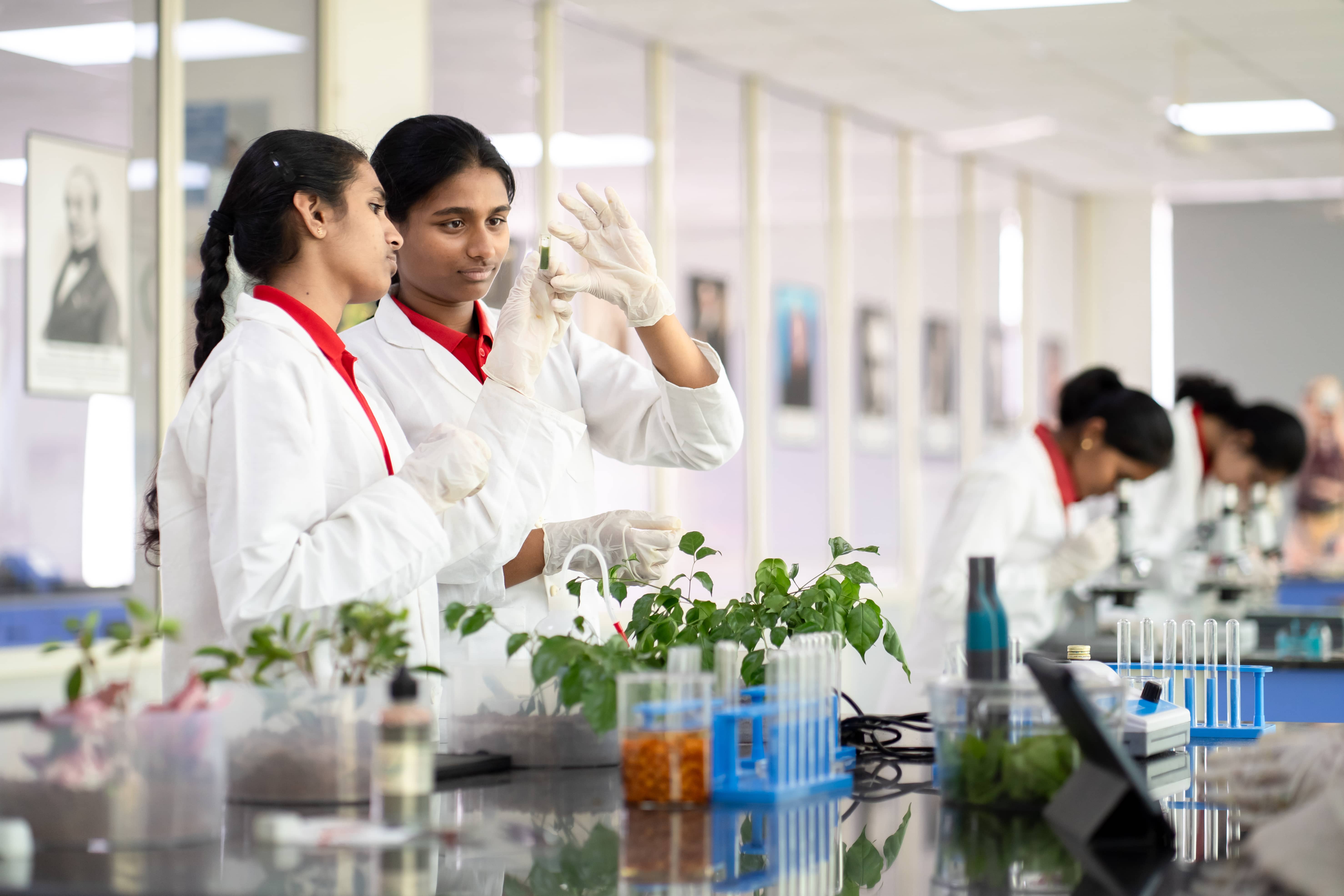 Cambridge and CBSE curriculum in Warangal